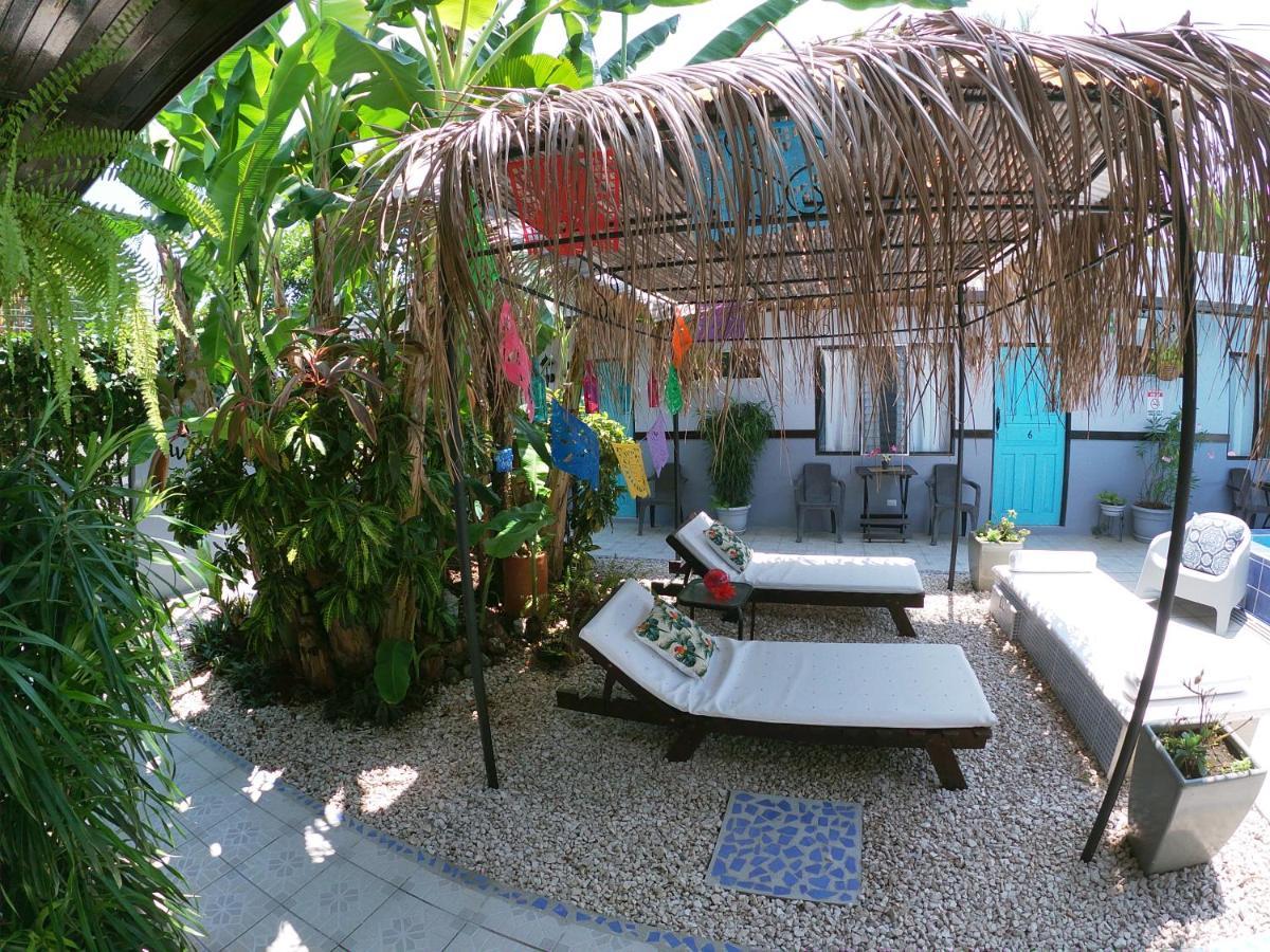 Hotel Perico Azul & Surf Camp ハコ エクステリア 写真