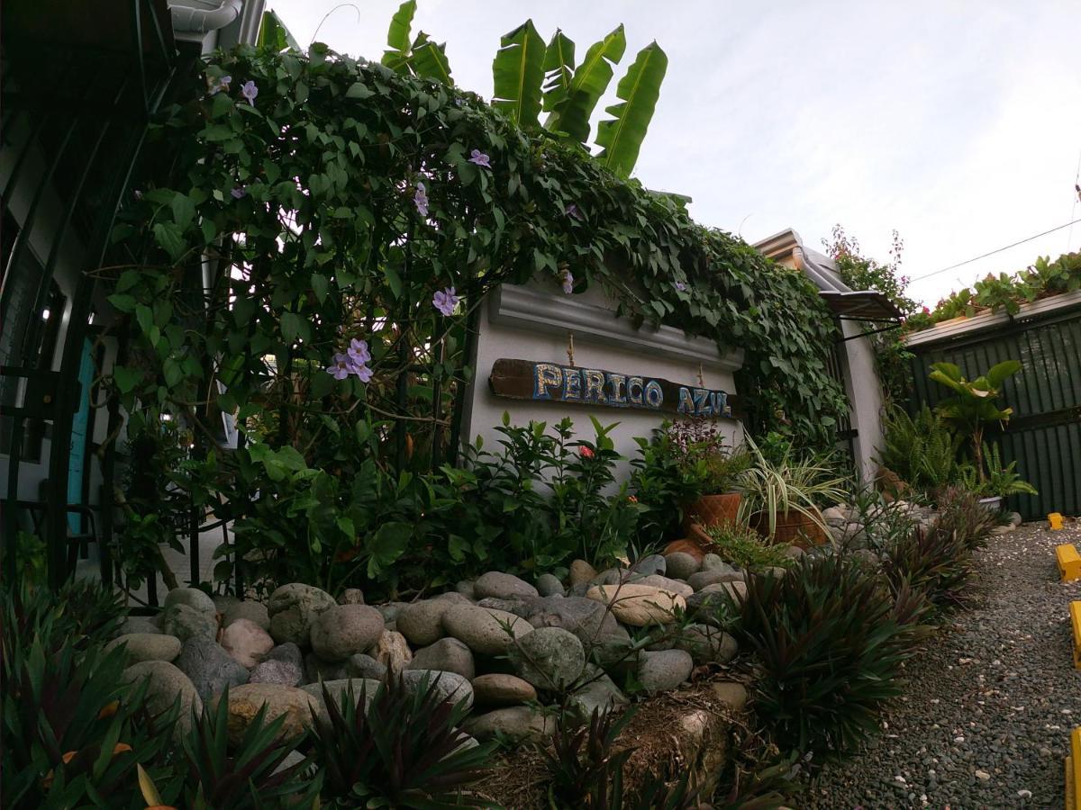 Hotel Perico Azul & Surf Camp ハコ エクステリア 写真
