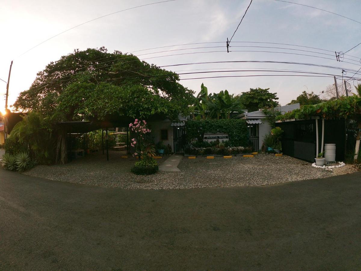 Hotel Perico Azul & Surf Camp ハコ エクステリア 写真