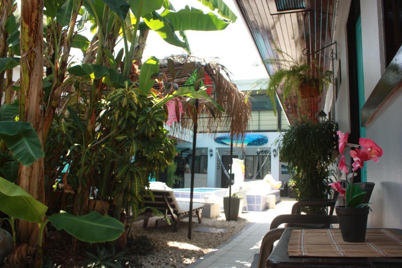 Hotel Perico Azul & Surf Camp ハコ エクステリア 写真