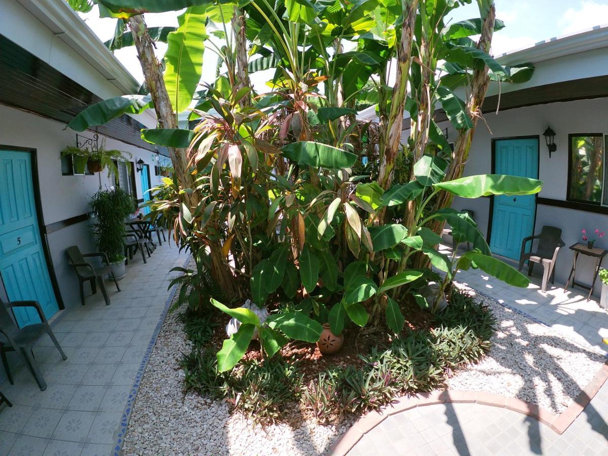Hotel Perico Azul & Surf Camp ハコ エクステリア 写真