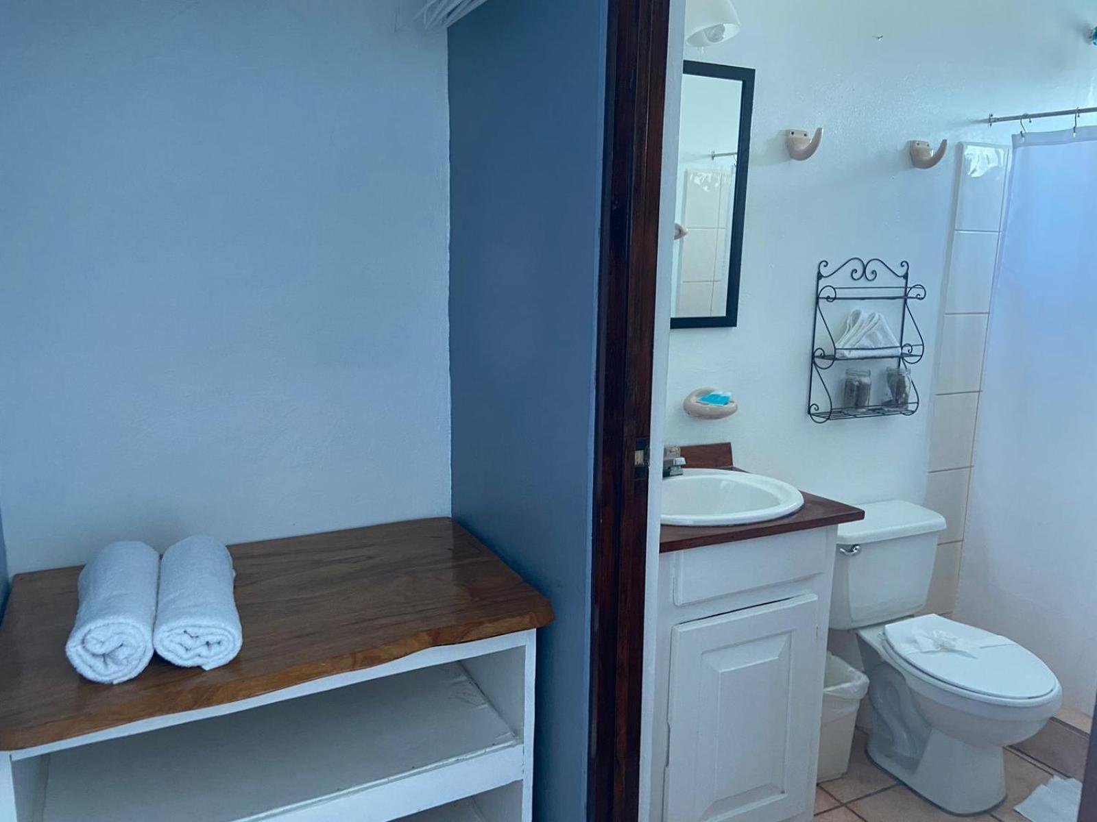 Hotel Perico Azul & Surf Camp ハコ エクステリア 写真